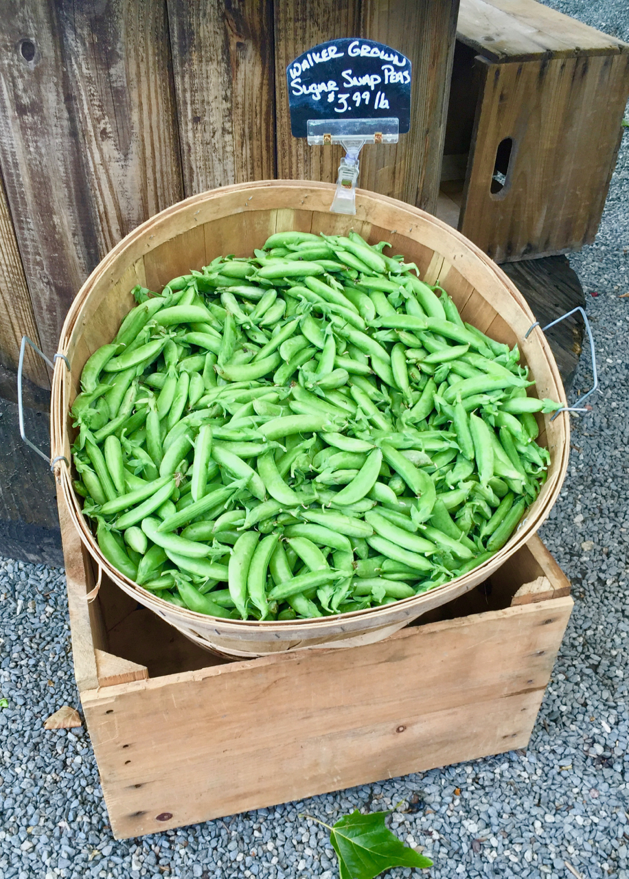 Cacio e Pepe Pasta with Slivered Sugar Snap Peas & Zucchini The