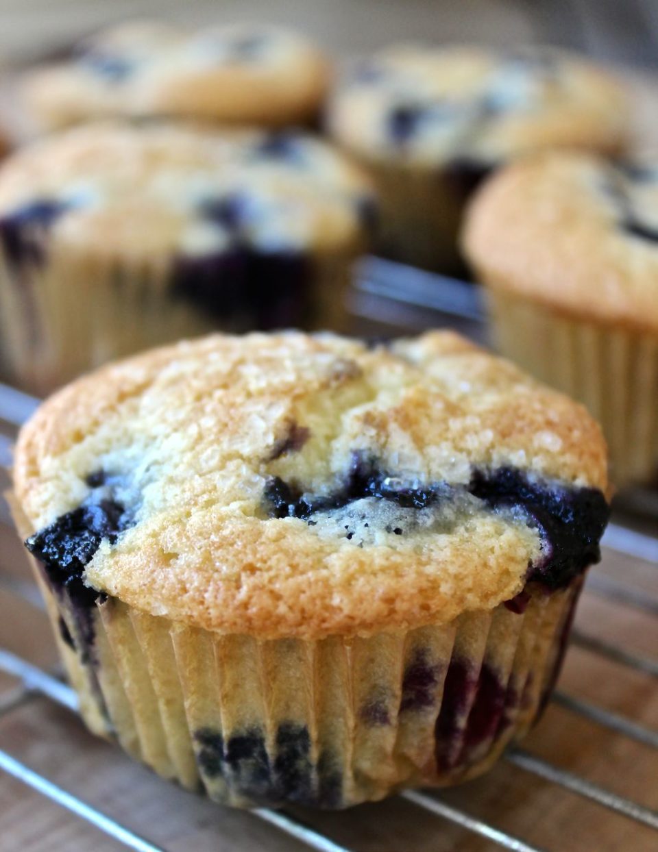 The Best Blueberry Muffins | The Kitchen Scout